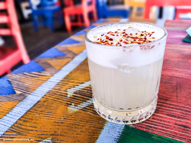 blue cactus warszawa 15