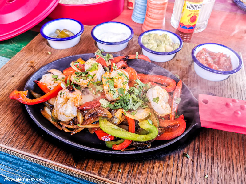 blue cactus warszawa 17