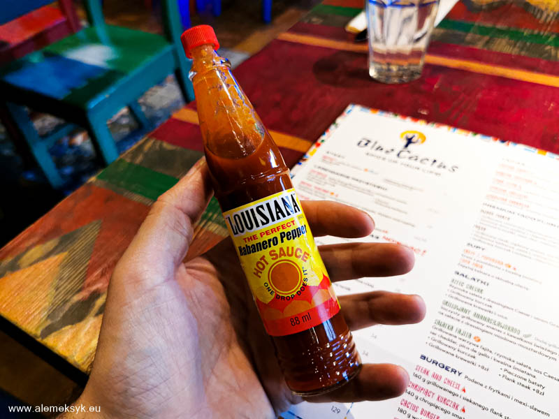 blue cactus warszawa 5