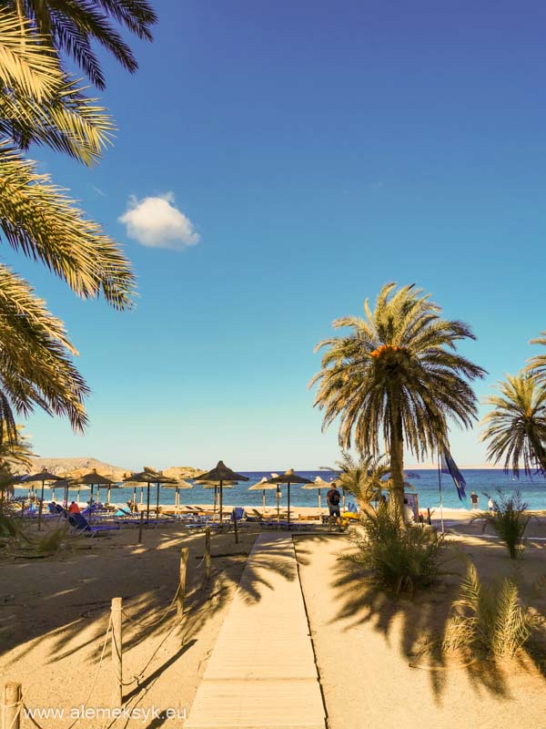 Kreta - Plaża Vai