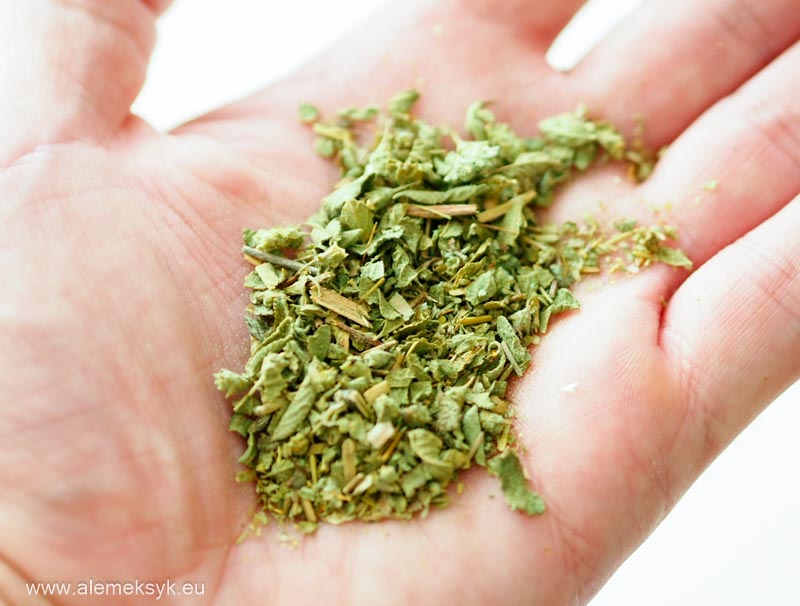 oregano meksykanskie 3