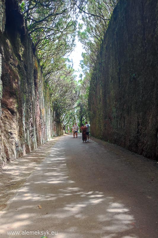 restauracja bibi y mana taganana anaga 1