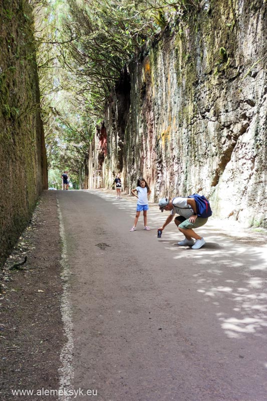 restauracja bibi y mana taganana anaga 2