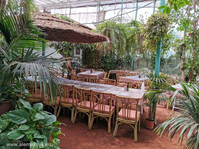 restauracja guachinche el cordero teneryfa 18