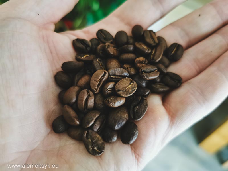 winter blend green caffe nero 3