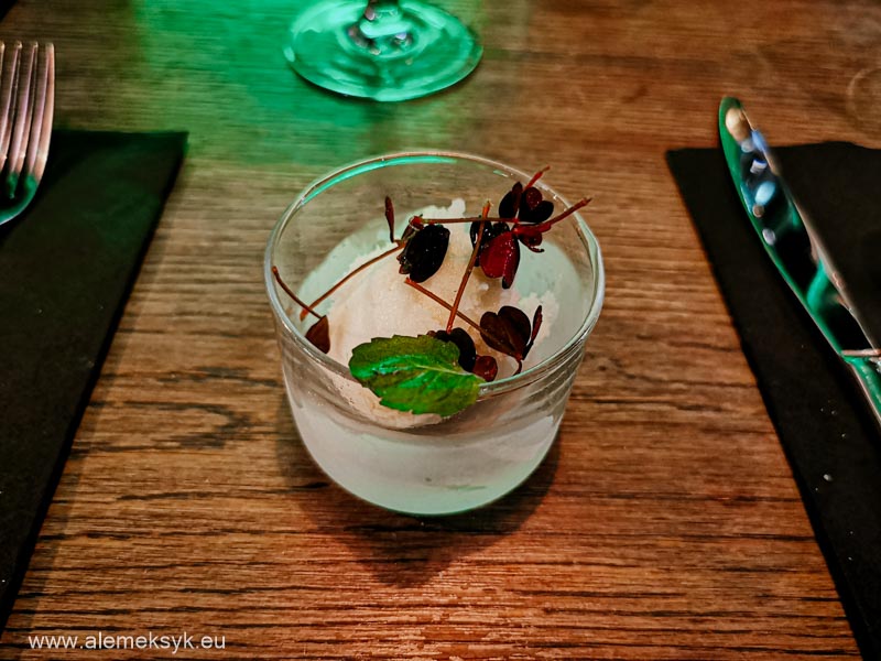 niewinni czarodzieje manhattan 14