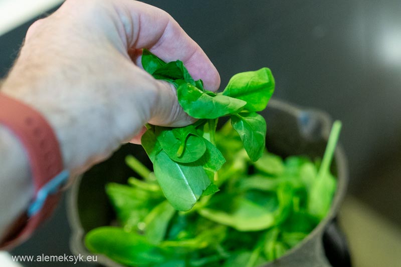 frittata z lososiem szpinakiem 7