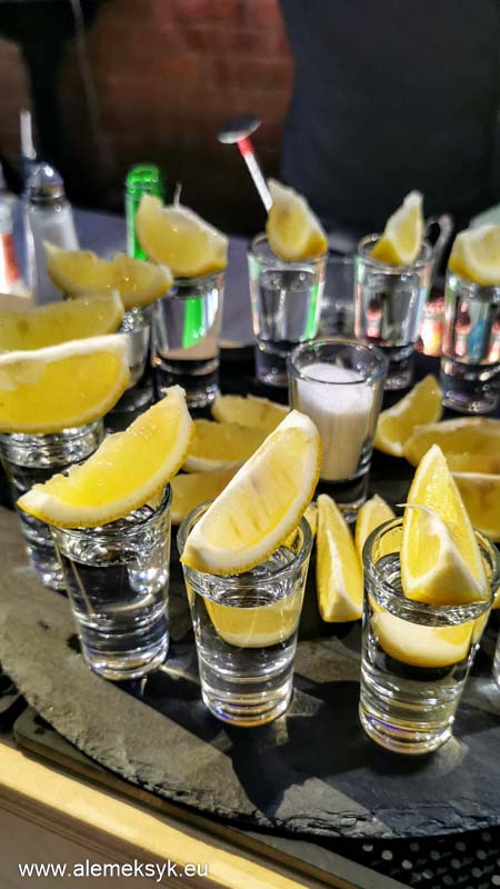 dia de la independencia mexico polonia 2