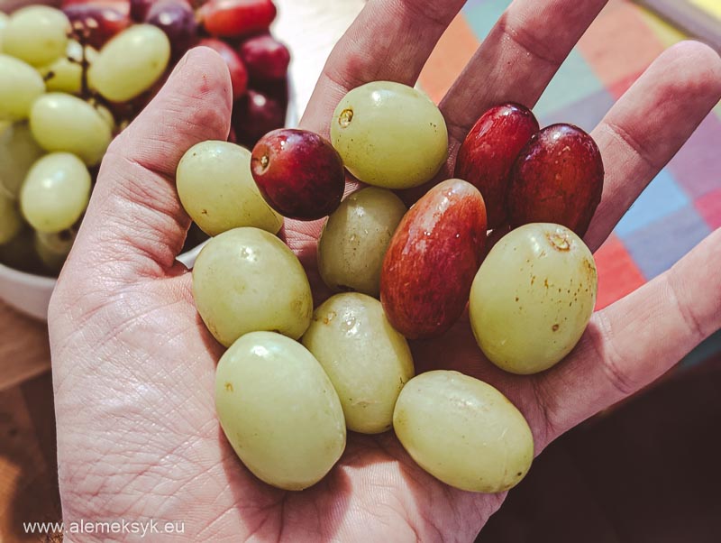 12 winogron sylwester 1