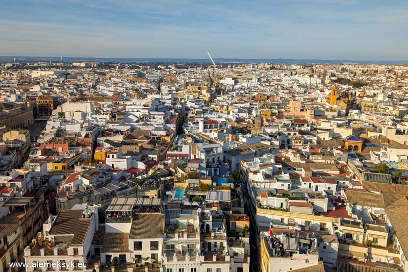 andaluzja gdzie zjesc 41