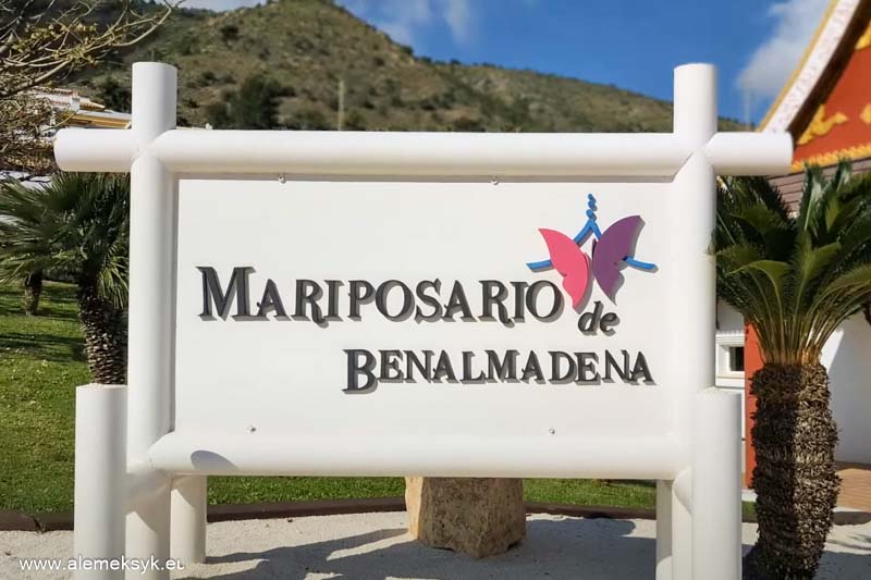 andaluzja gdzie zjesc 58